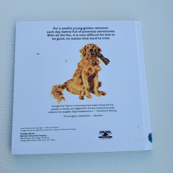 Vintage Voyager 1993 Hardcover Book "Can I Be Good"  by Ted Rand - Picture 2 of 4